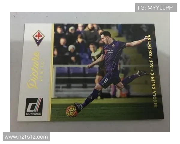 足球球星帕尼尼是谁 他对足球界的影响与成就分析