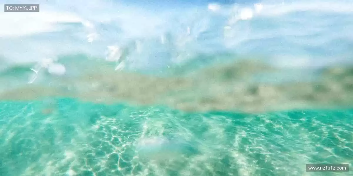 一键开启赛事狂欢，你的主场永不打烊！📱